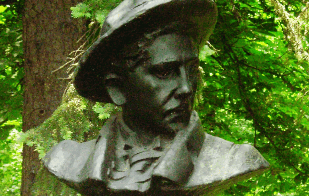 RADOJE DOMANOVIĆ: <span style='color:red;'><b>Razmišljanje</b></span> jednog običnog srpskog vola